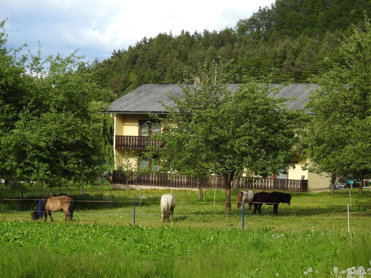 Apartment Am Ponyhof 圣卡荐 外观 照片