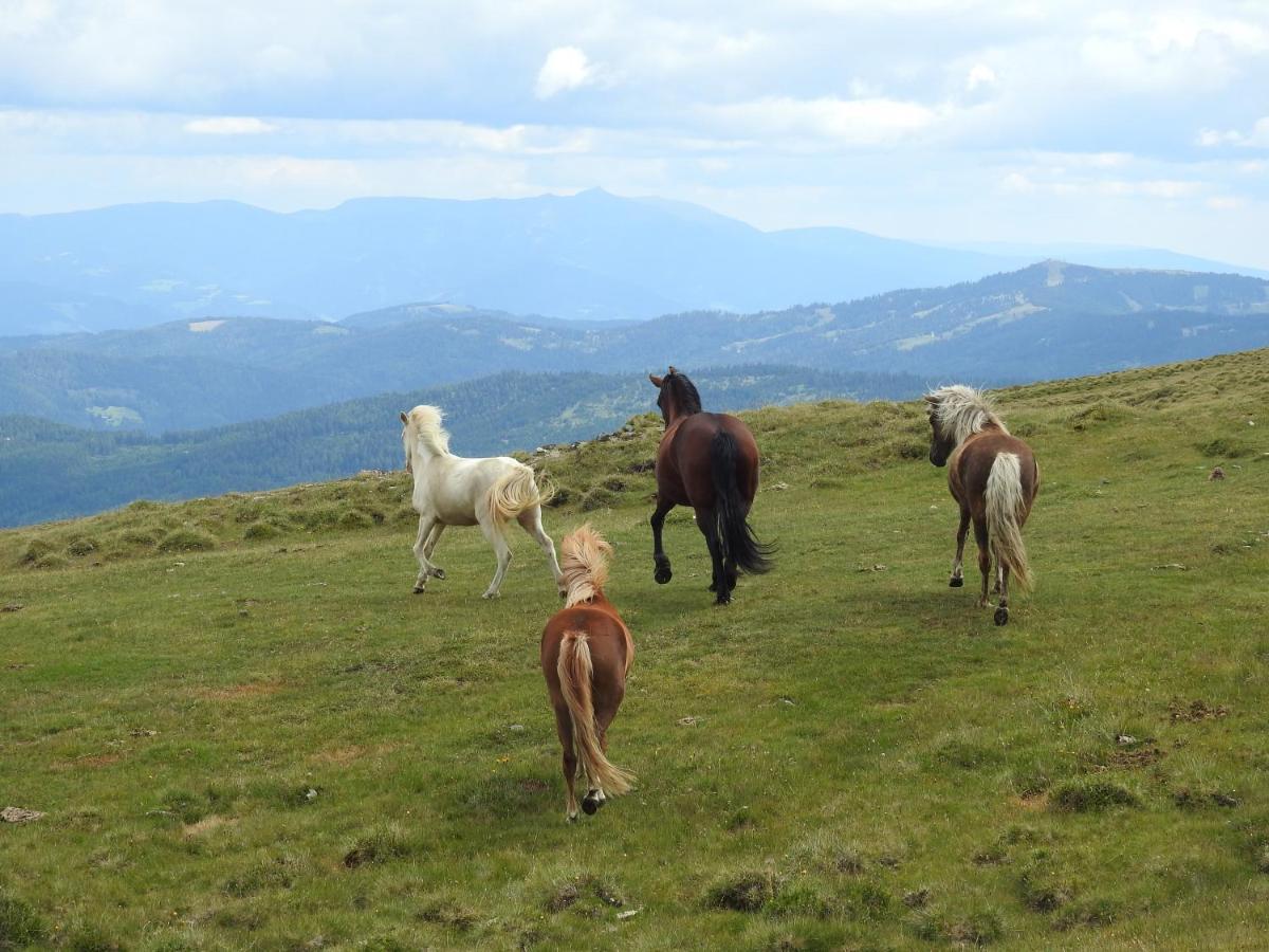 Apartment Am Ponyhof 圣卡荐 外观 照片