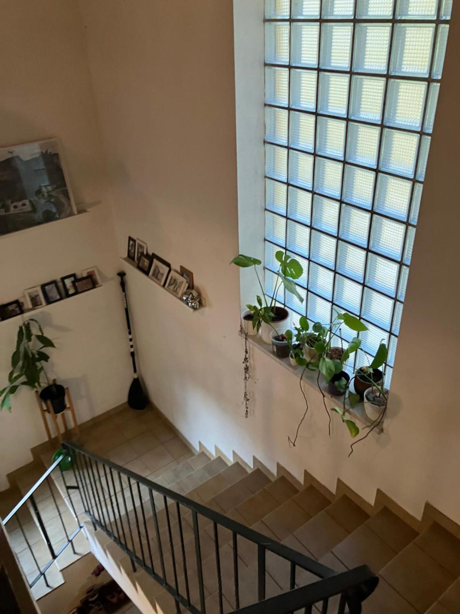 Apartment Am Ponyhof 圣卡荐 外观 照片